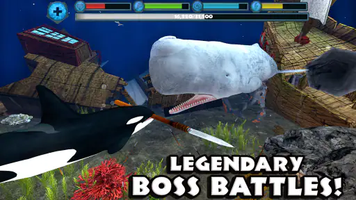 Orca Simulator screenshot