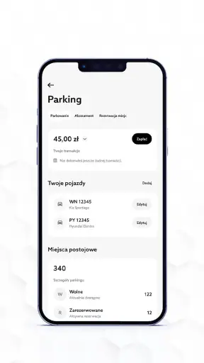 Parking Posnania screenshot