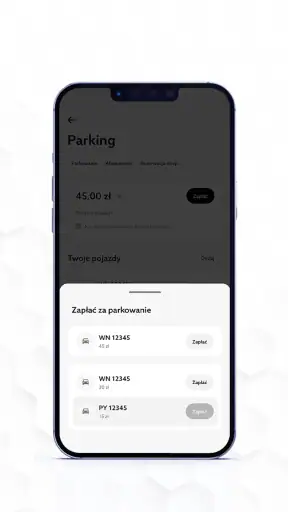 Parking Posnania screenshot