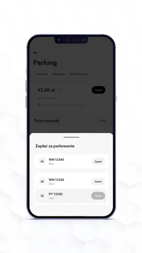 Parking Posnania screenshot