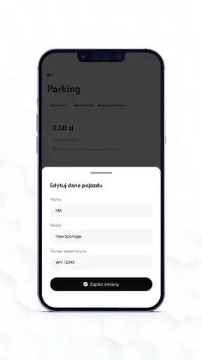 Parking Posnania screenshot