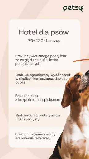 Petsy screenshot