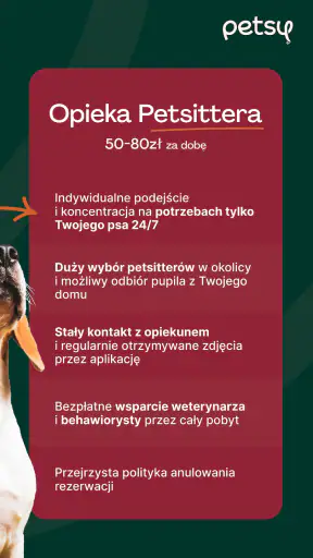 Petsy screenshot