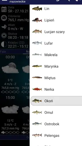 Prognoza połowów screenshot