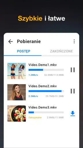 Program do pobierania wideo HD screenshot