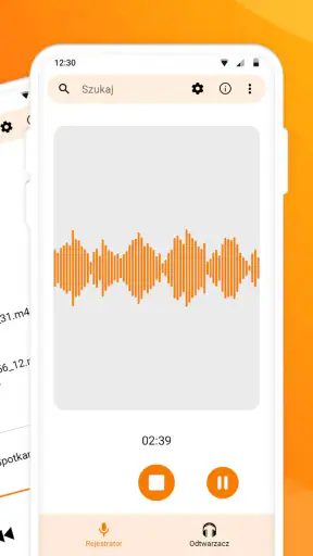 Prosty rejestrator głosu screenshot