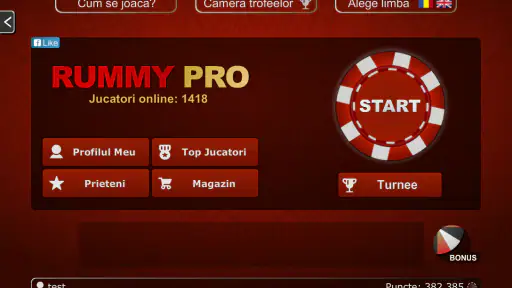 Remik PRO - Remi Pe Tabla screenshot