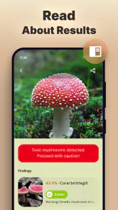 Rozpoznawanie grzybów zdjęciem screenshot
