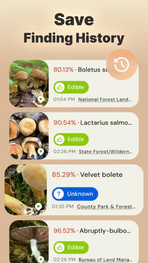 Rozpoznawanie grzybów zdjęciem screenshot