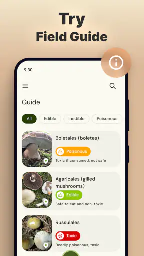 Rozpoznawanie grzybów zdjęciem screenshot