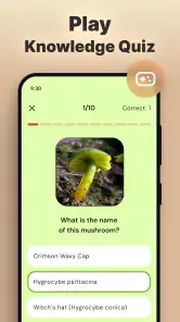 Rozpoznawanie grzybów zdjęciem screenshot