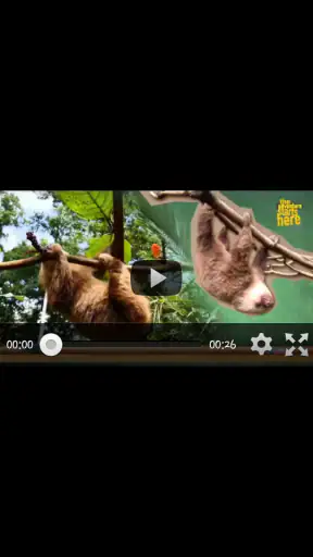 See More screenshot