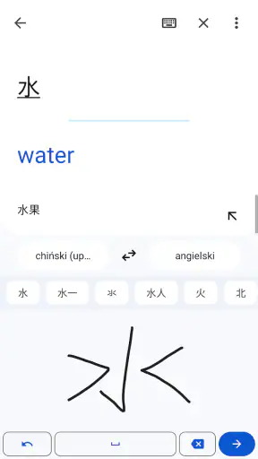 Tłumacz Google screenshot