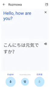 Tłumacz Google screenshot