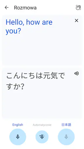 Tłumacz Google screenshot