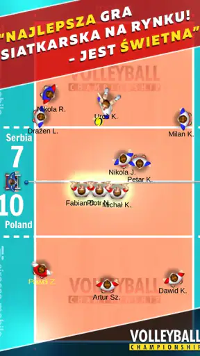 Volleyball Championship screenshot