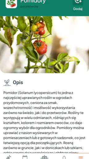 Warzywny kalendarz screenshot