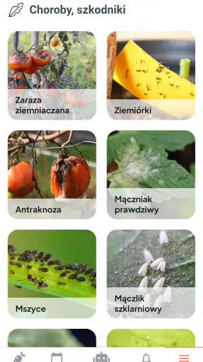 Warzywny kalendarz screenshot