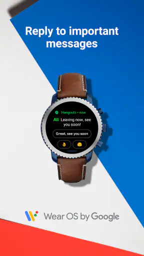 Wear OS by Google screenshot